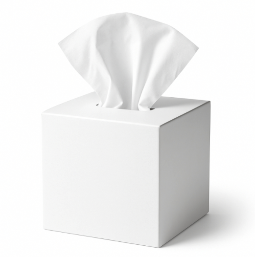 VIDE - TISSUE PAPER BOX in the group HOTEL ROOM at Amet & Partners AB (TPB.W.100.SQR)